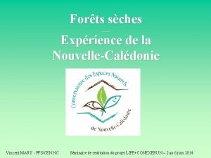 Forts sches Exprience de la NouvelleCaldonie Vincent MARY