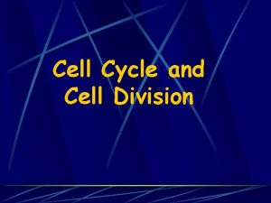 Cell Cycle and Cell Division Eukaryotic chromosomes contain