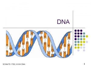 DNA SCNATS 1730 XXXIII DNA 1 Nucleic Acids