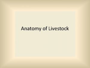 Anatomy of Livestock Anatomy Form and structure of