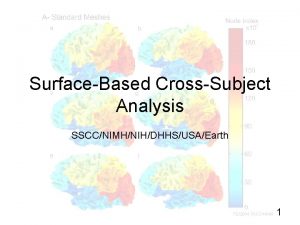 SurfaceBased CrossSubject Analysis SSCCNIMHNIHDHHSUSAEarth 722004 SSCCNIMH 1 Geometry