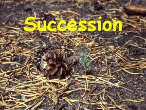 Succession Primary Succession The establishment and development of