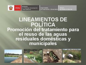 LINEAMIENTOS DE POLTICA Promocin del tratamiento para el