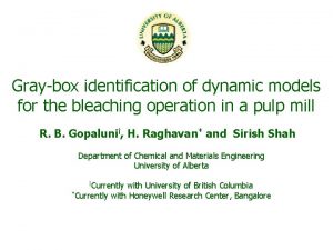 Graybox identification of dynamic models for the bleaching