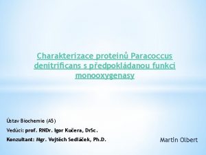 Charakterizace protein Paracoccus denitrificans s pedpokldanou funkc monooxygenasy