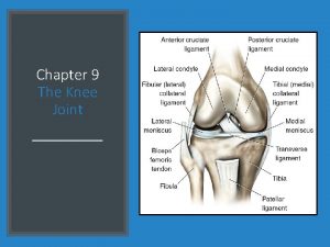 Chapter 9 The Knee Joint The Knee Joint