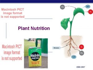 Plant Nutrition AP Biology 2006 2007 Physiological adaptation