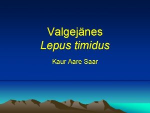 Valgejnes Lepus timidus Kaur Aare Saar Vlimus Suvel