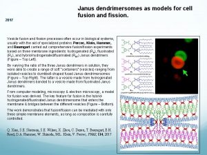 NSF MRSEC DMR11 20901 2017 Janus dendrimersomes as