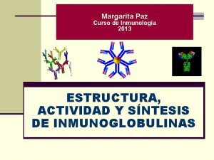 Margarita Paz Curso de Inmunologa 2013 ESTRUCTURA ACTIVIDAD