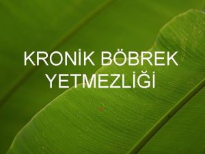 KRONK BBREK YETMEZL KBY GFH da geri dnmsz