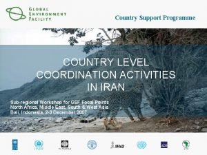 Country Support Programme COUNTRY LEVEL COORDINATION ACTIVITIES IN