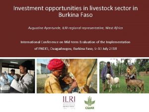 Investment opportunities in livestock sector in Burkina Faso