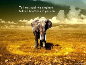 Tell me said the elephant tell me brothers