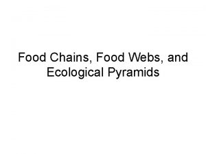 Food Chains Food Webs and Ecological Pyramids A