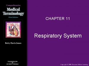 CHAPTER 11 Respiratory System Respiratory System Overview Responsibilities