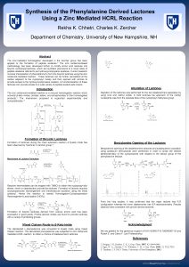 Synthesis of the Phenylalanine Derived Lactones Using a