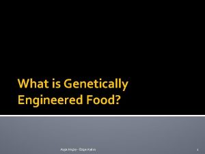 What is Genetically Engineered Food Aye Akay zge