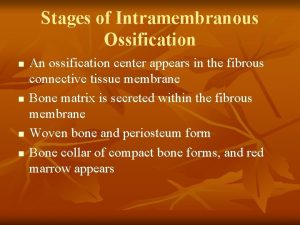 Stages of Intramembranous Ossification n n An ossification