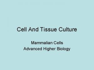 Cell And Tissue Culture Mammalian Cells Advanced Higher