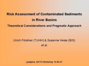 Risk Assessment of Contaminated Sediments in River Basins