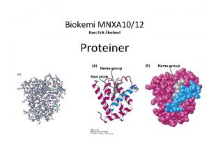 Biokemi MNXA 1012 HansErik kerlund Proteiner Aminosyror Enklaste
