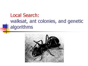 Local Search walksat ant colonies and genetic algorithms