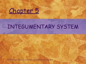 Chapter 5 INTEGUMENTARY SYSTEM 2004 Delmar Learning a