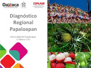 Diagnstico Regional Papaloapan Universidad del Papaloapan 27 Marzo