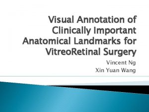 Visual Annotation of Clinically Important Anatomical Landmarks for