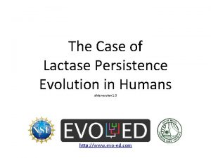 The Case of Lactase Persistence Evolution in Humans