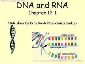 DNA and RNA http faculty uca edujohncmbi 1440