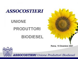 UNIONE PRODUTTORI BIODIESEL Roma 19 Dicembre 2007 QUADRO