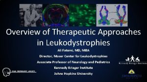 Overview of Therapeutic Approaches in Leukodystrophies Ali Fatemi