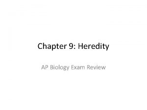 Chapter 9 Heredity AP Biology Exam Review MENDELS