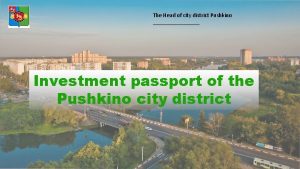 The Head of city district Pushkino Investment passport