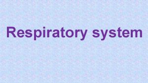 Respiratory system Regulation of breathing Control of ventilation