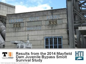 Results from the 2014 Mayfield Dam Juvenile Bypass