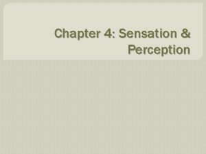 Chapter 4 Sensation Perception Introduction Sensation stimulation of