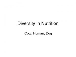 Diversity in Nutrition Cow Human Dog Dentition Teeth