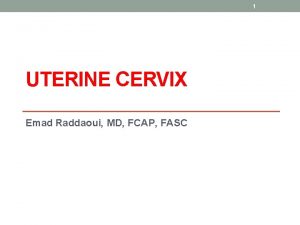 1 UTERINE CERVIX Emad Raddaoui MD FCAP FASC