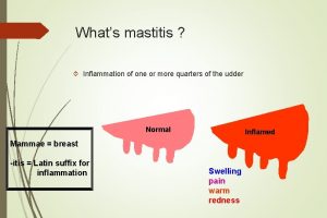 Whats mastitis Inflammation of one or more quarters