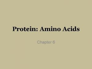 Protein Amino Acids Chapter 6 Amino Acids Atoms