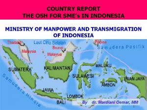 COUNTRY REPORT THE OSH FOR SMEs IN INDONESIA