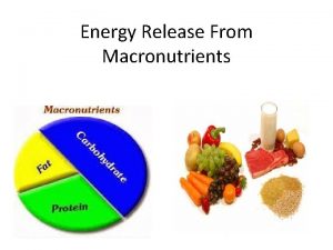 Energy Release From Macronutrients The Concept of Energy