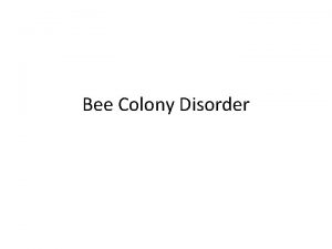 Bee Colony Disorder Colony Collapse Disorder CCD is