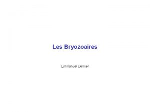 Les Bryozoaires Emmanuel Bernier Les bryozoaires situation phylogntique