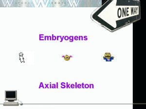 Embryogens Axial Skeleton The Axial Skeleton The axial