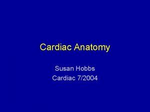 Cardiac Anatomy Susan Hobbs Cardiac 72004 Plain Film