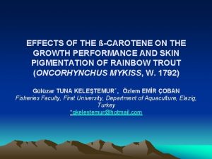 EFFECTS OF THE CAROTENE ON THE GROWTH PERFORMANCE